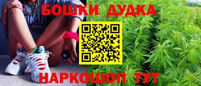 шишки Будённовск