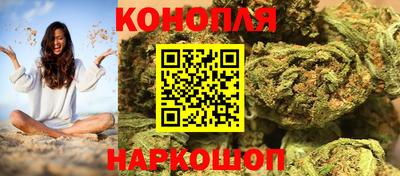 шишки Будённовск