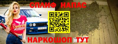 шишки Будённовск