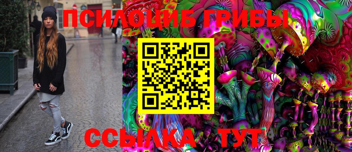 Псилоцибиновые грибы Cubensis Шахты